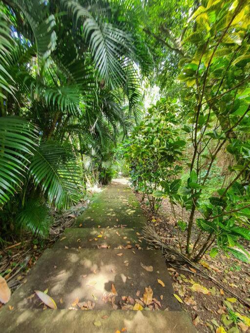 Kaza Malessa Villa Sainte-Marie Ngoại thất bức ảnh