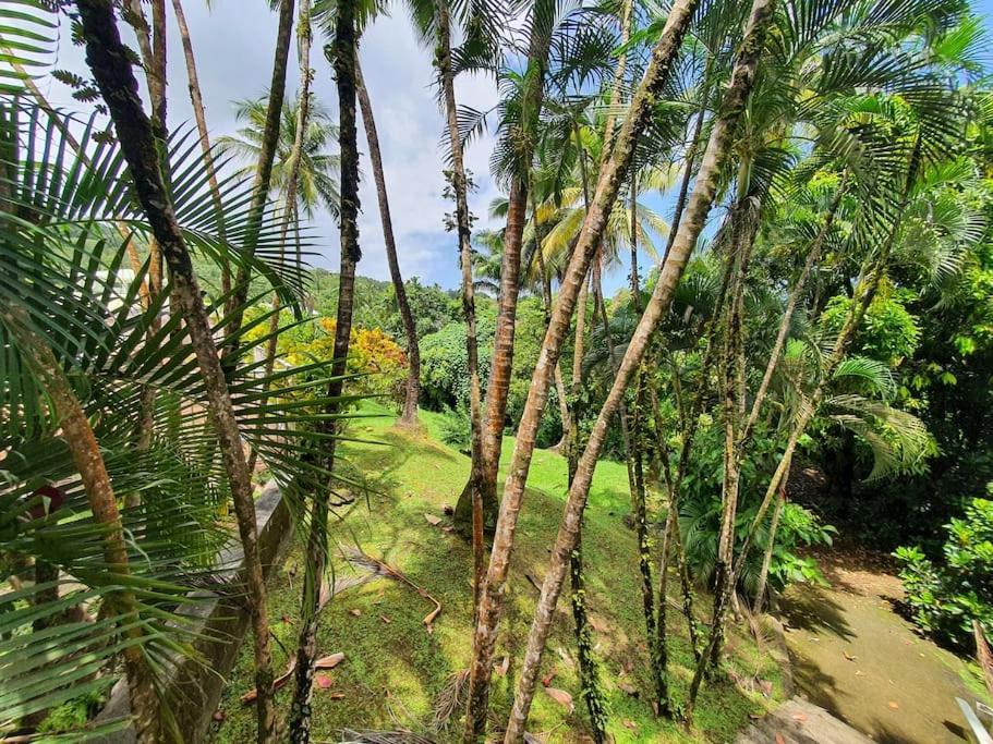 Kaza Malessa Villa Sainte-Marie Ngoại thất bức ảnh